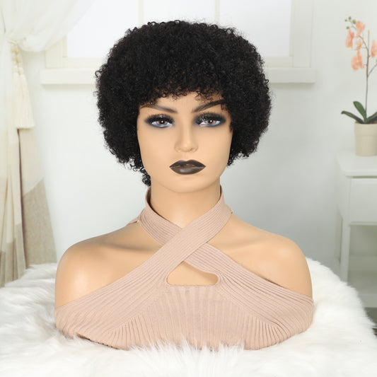 Glueless Wigs Human Hair Short Afro Kinky Curly Wigs For Women Human Hair